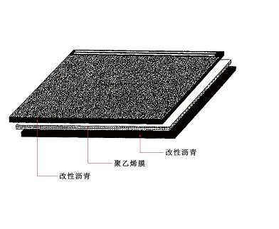 SBS�͸����̸��Ԟr���ˮ����